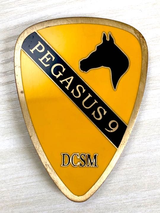 第1騎兵師団　最先任上級曹長チャレンジ　OIFバージョン