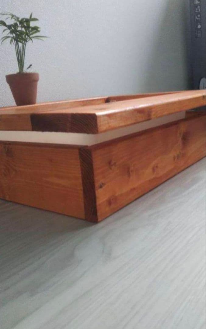 りこ様発注分メダカビオトープ♫茶色