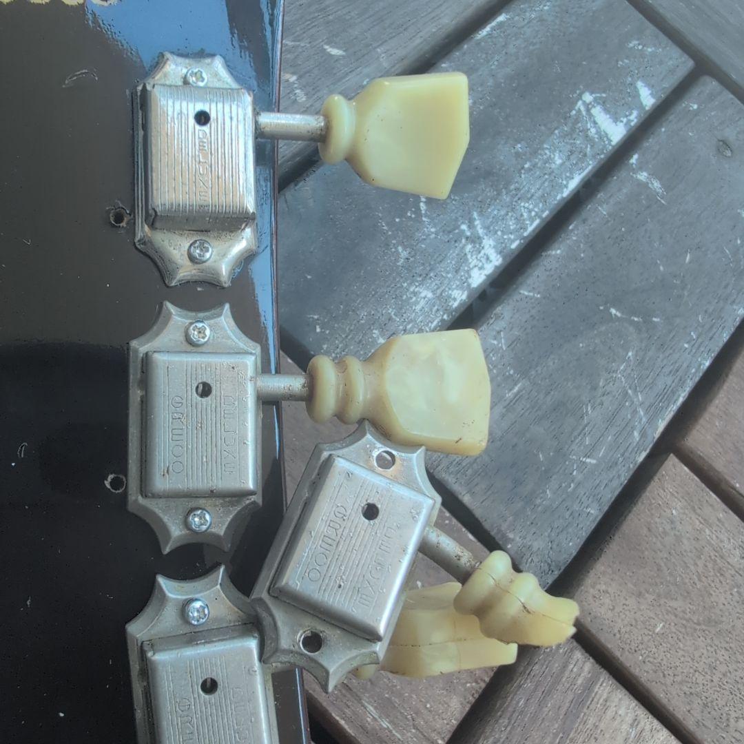 GRECO EG 77年 レスポール セミホローの虎目ボディ！