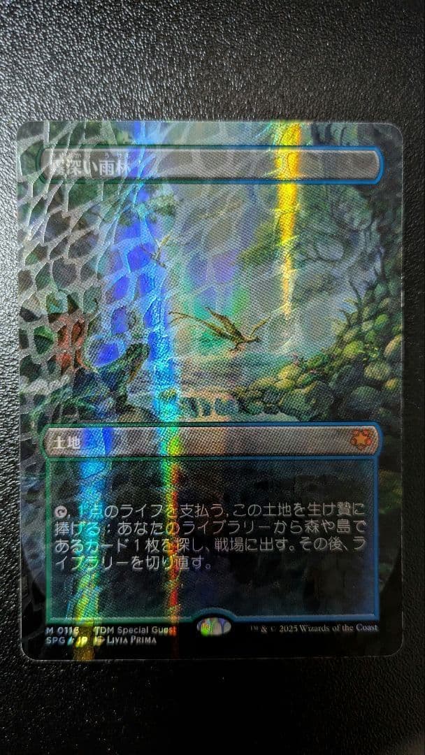 mtg 霧深い雨林 ドラゴンスケイルfoil