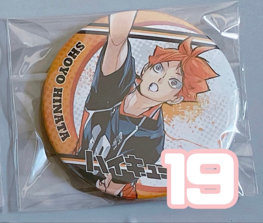 ハイキュー 日向翔陽 コレクション缶バッジ第5弾 19点セット