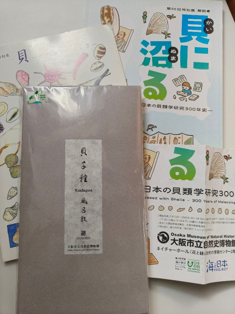 貝に沼る 解説書と風呂敷 特別展 大阪市立自然史博物館