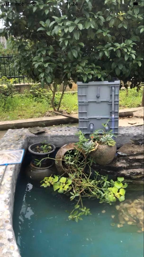 (水漏れ心配無用)ポンプ付き池フィルター万能濾過装置 池フィルター最高濾過装置大