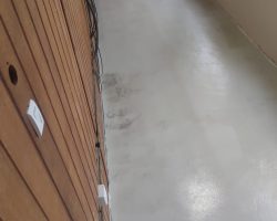 Imagem do WhatsApp de 2024-12-20 à(s) 14.01.05_dc50d52e