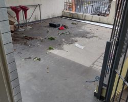 Imagem do WhatsApp de 2024-12-20 à(s) 17.31.40_04f87f08